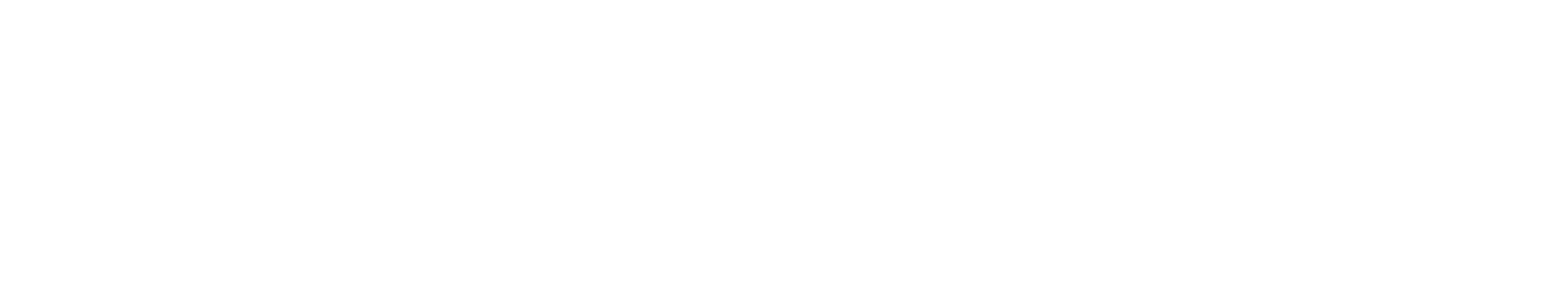 Gunstores White Logo with tagline